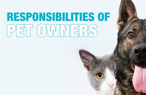 web-tile-responsibilities-of-pet-owners.jpg