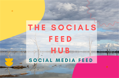 THe-Socials-Fedd-Hub.png