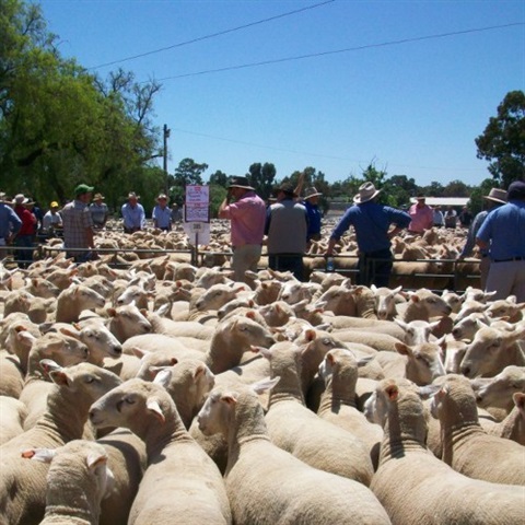 Corowa-Saleyards.jpg