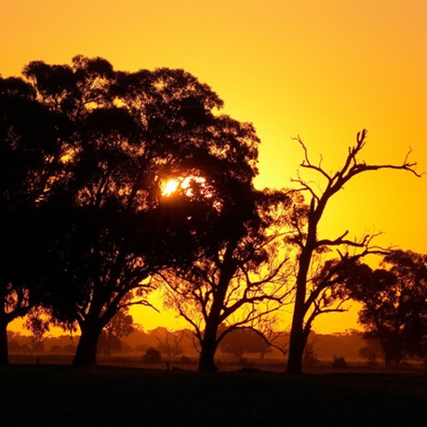 Sunset