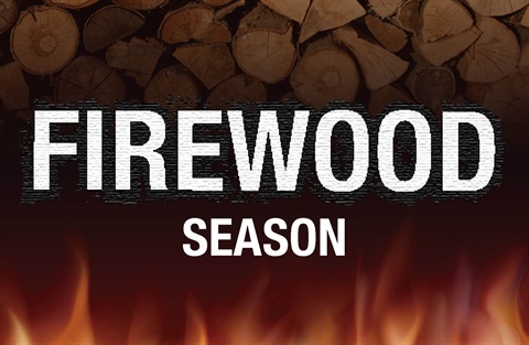 Firewood-collection-permit-web-tile.jpg