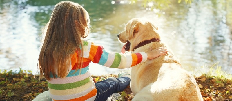 Child and labrador on riverbank