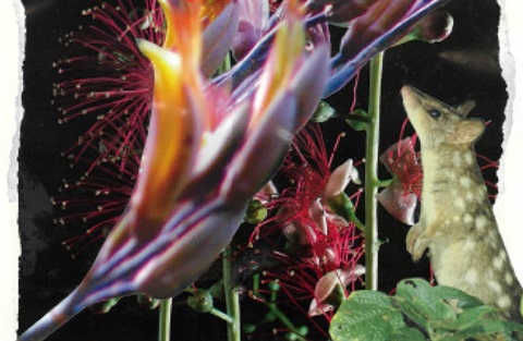 Anthropocene Art Exhibition