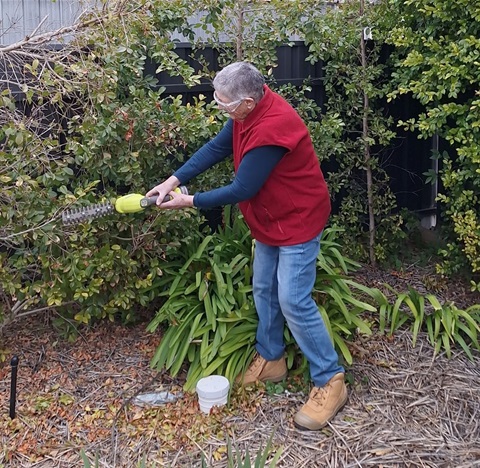 Ann-using-a-hedge-trimmer.jpg