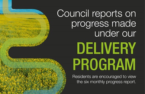 Council reports delivery program progress
