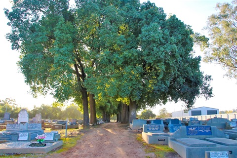 Corowa Pioneer Cemetery