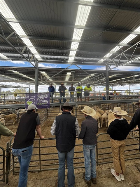 Corowa Saleyards Good Friday Appeal