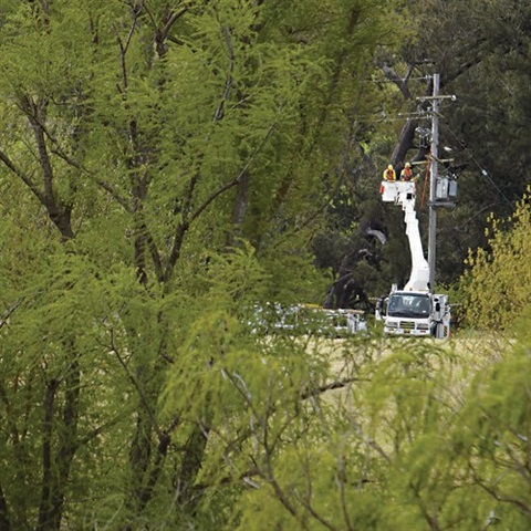 Tree-Pruning-Essential-Energy-gen.jpg