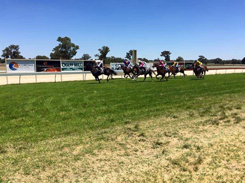 Horse Racing Corowa