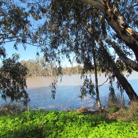 Urana Aquatic Centre